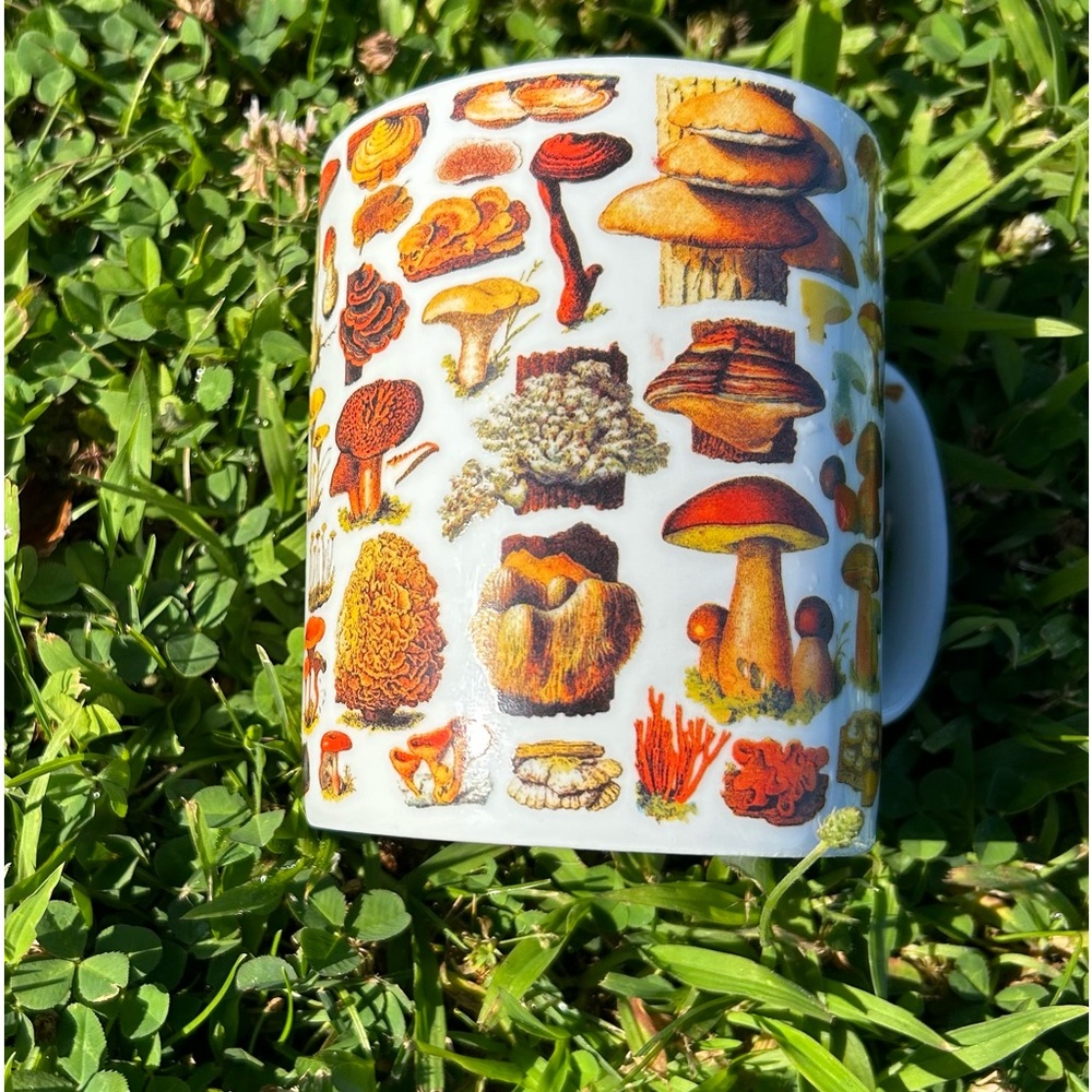 The Puzzle Company MUSHROOMS MUG
15OZ MUG vintage style like new white red